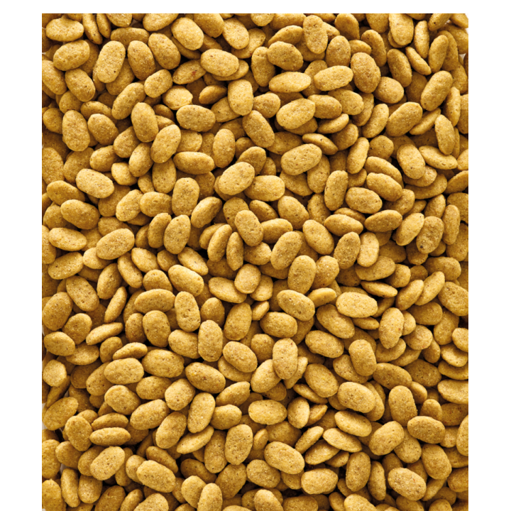 P15 ORIGINAL   1 KG. NUEVO (uxc6)
