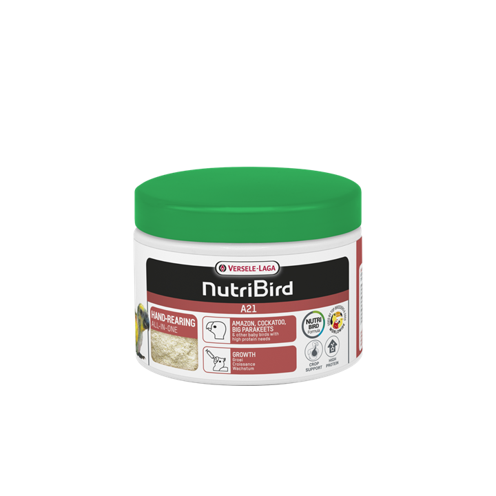 A21 PAPILLA   250 GRS. NUEVA  (uxc12)