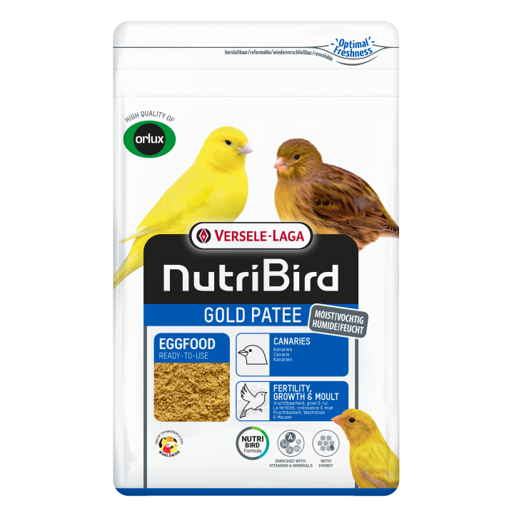 NUBI GOLD PATE AMARILLO  5 KG