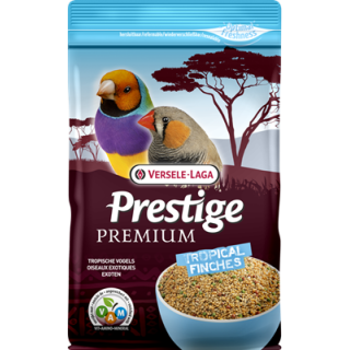 EXOTICO PREMIUM VAM NUEVO 800 G (UXC6)