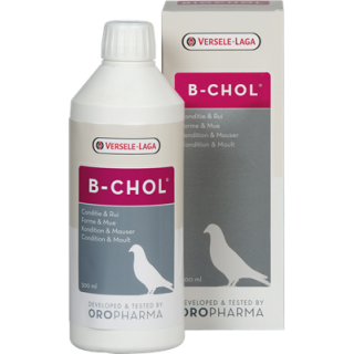 ORO B-CHOL 500 ML.