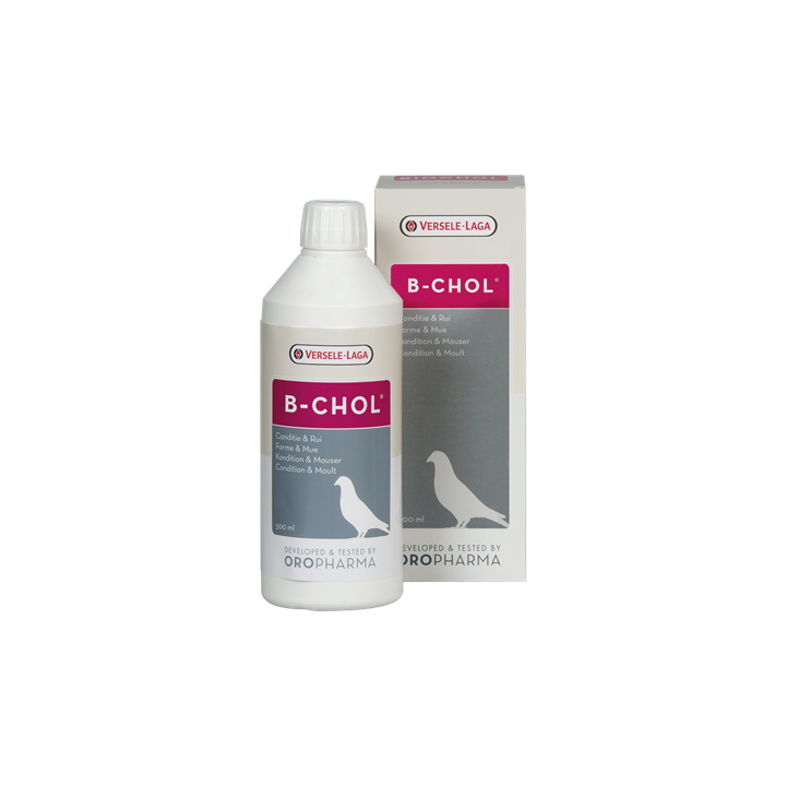 ORO B-CHOL 500 ML.