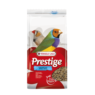 EXOTICOS PRESTIGE   4 KG. (UXC5)
